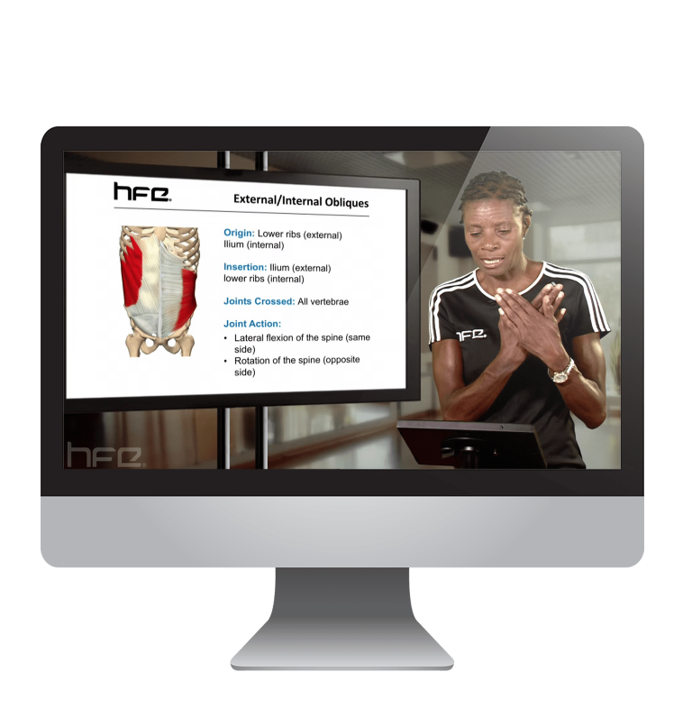 HFE tutor teaching anatomy